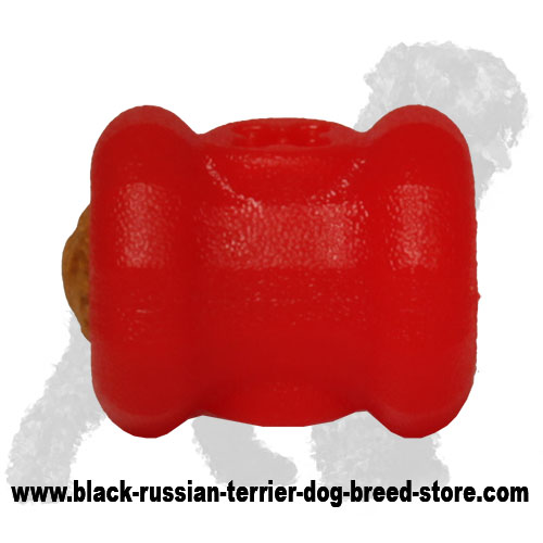 https://www.black-russian-terrier-dog-breed-store.com/images/large/Small-Foam-Russian-Terrier-Fire-Plug-TT27_LRG.jpg