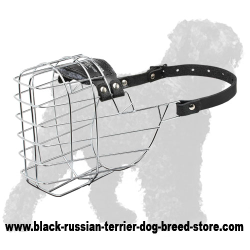 terrier muzzle