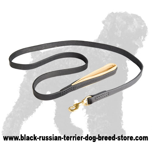 Premium Quality Leather Black Russian Terrier Leash with Handle