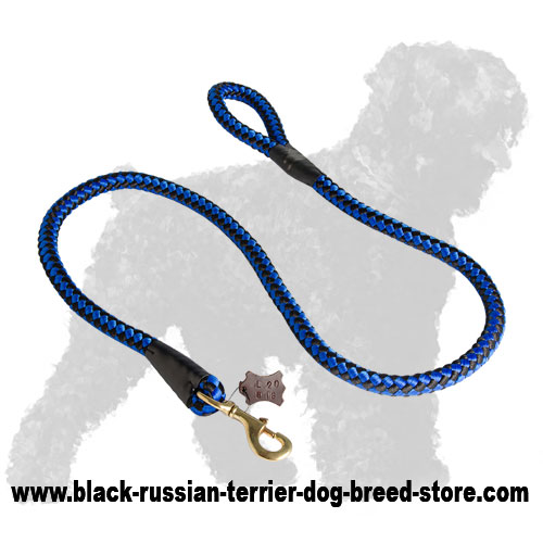 Training Cord Nylon Black Russian Terrier Leash