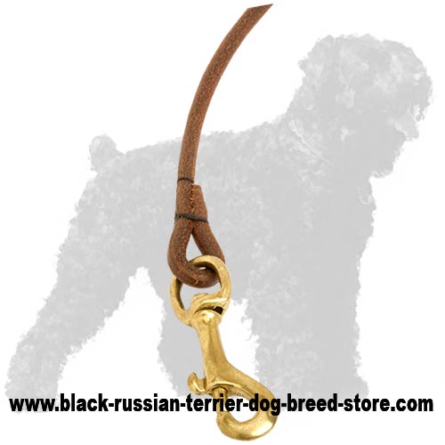 Durable Snap Hook of Leather Russian Terrier Show Lead