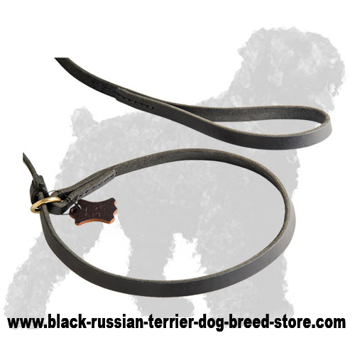 Soft Handle and Collar of Leather Russian Terrier Lead and Collar Combo