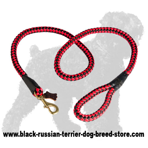 Practical Walking Cord Nylon Black Russian Terrier Leash