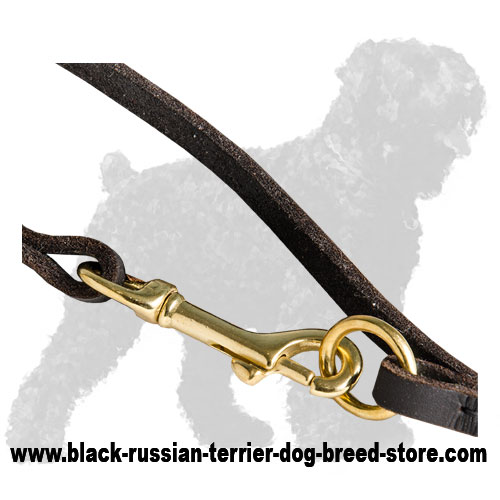 Durable Fittings of Walking Dog Leash for Black Russian Terrier