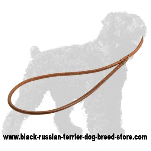 Reliable Handle of Leather Black Russian Terrier Show Leash