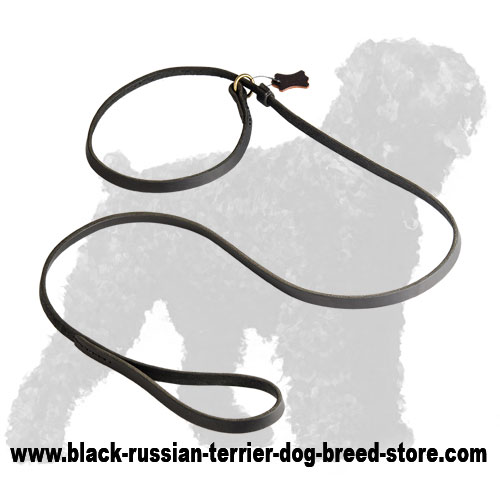 Best Safe Leather Russian Terrier Lead and Collar Combo
