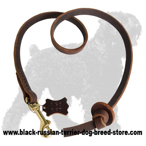 Exclusive Training Leather Black Russian Terrier Leash