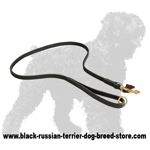High Quality Training Leather Russian Terrier Leash