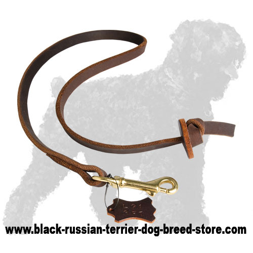 Soft Leather Dog Leash for Russian Terrier