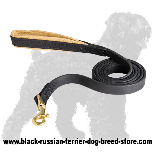 Strong Walking Leather Dog Leash for Black Russian Terrier