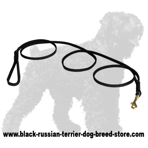 Strong Leather Russian Terrier Leash