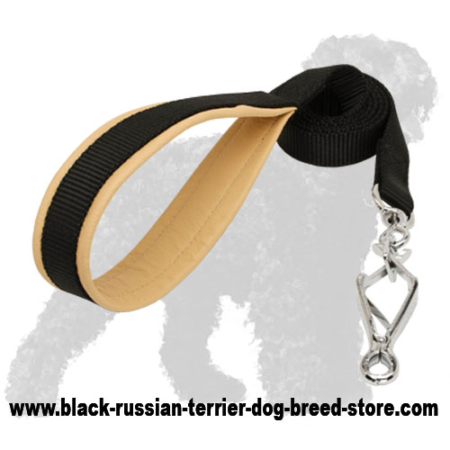 Durable Walking Nylon Russian Terrier Leash