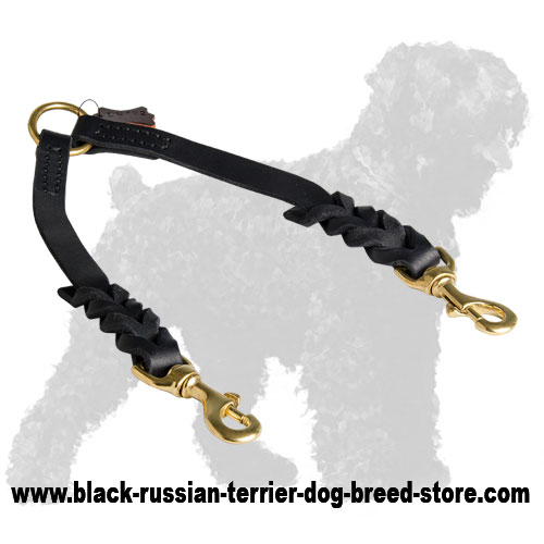 Walking Stitched Leather Russian Terrier Coupler with Braids