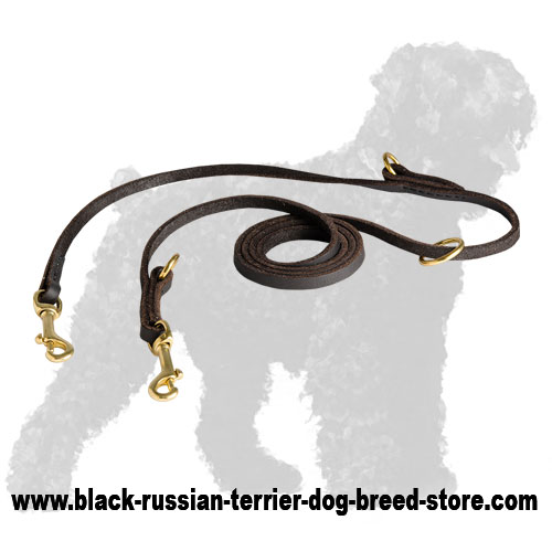 Durable Training Leather Black Russian Terrier Leash