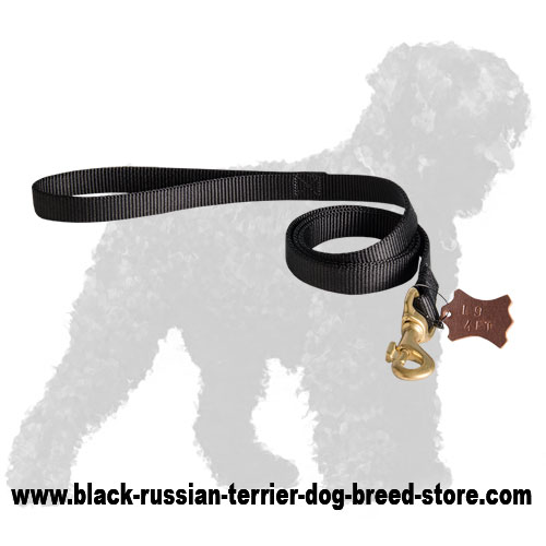 Nylon Russian Terrier Leash with Soft Handle and Snap Hook