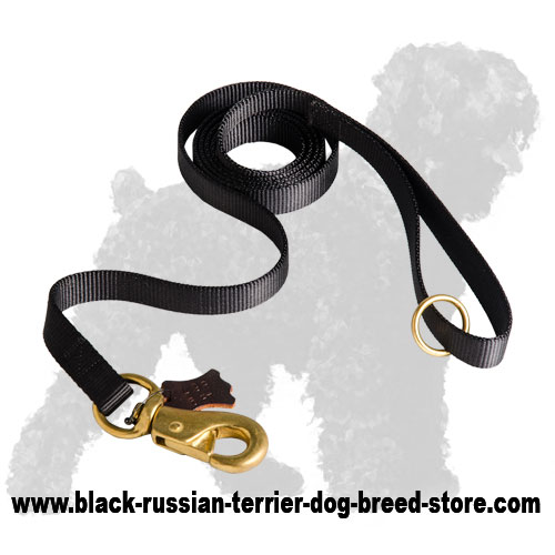 Water Resistant Nylon Russian Terrier Leash with Brass Snap Hook