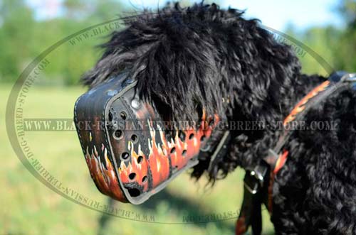 Provides great air flow for your Black Russian Terrier