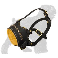 Perfect Air Circulation Leather Dog Muzzle