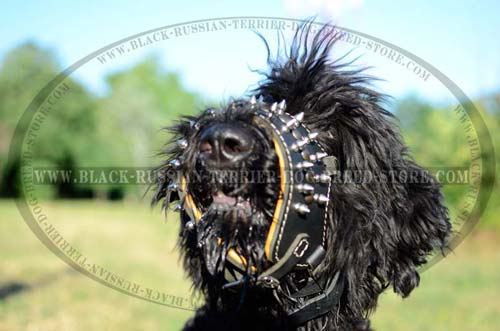No-bite muzzle for Black Russian Terrier