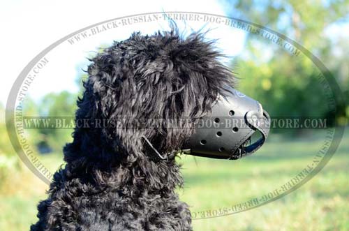 Handcrafted leather Black Russian Terrier muzzle