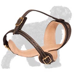 Handcrafted of Nappa Leather Muzzle