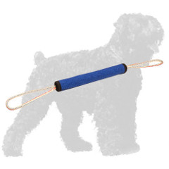 Training French Linen Russian Terrier Roll with Loops