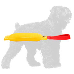Training French Linen Russian Terrier Tug with Handle