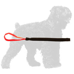 Safe French Linen Russian Terrier Puppy Tug for Basic Bite Training