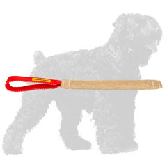 Jute Russian Terrier Tug with Practical Handle
