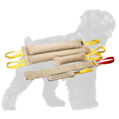 Practical Set of Dog Bite Tugs for Russian Terrier
